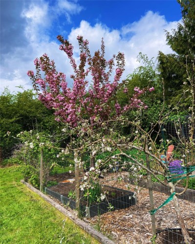 231 Derby Pl, Nanaimo, BC 