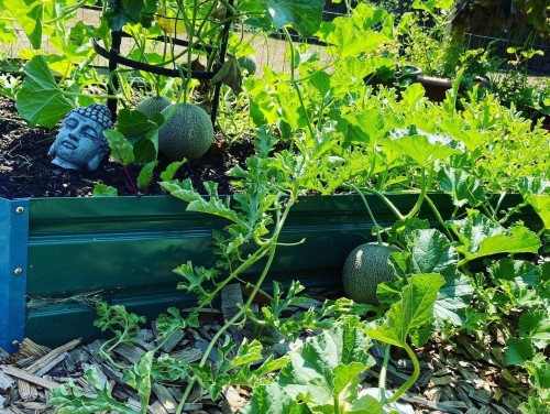 231 Derby Pl, Nanaimo, BC 