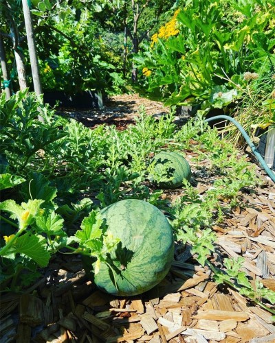 231 Derby Pl, Nanaimo, BC 