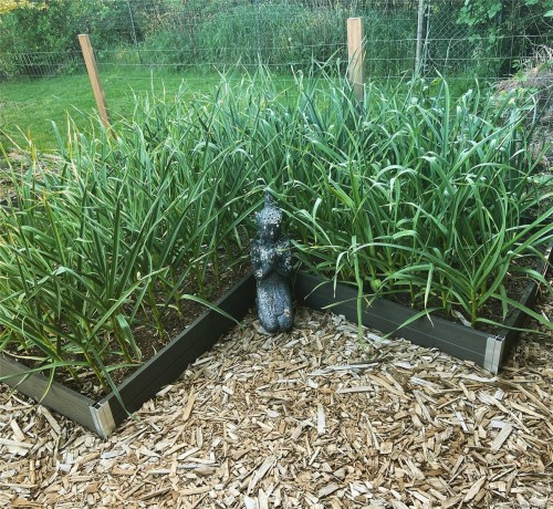 231 Derby Pl, Nanaimo, BC 