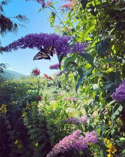 231 Derby Pl, Nanaimo, BC 