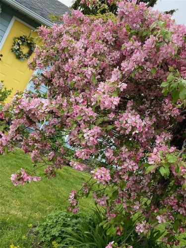 231 Derby Pl, Nanaimo, BC 