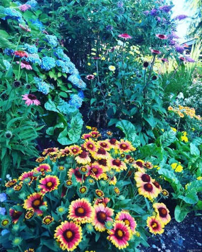 231 Derby Pl, Nanaimo, BC 