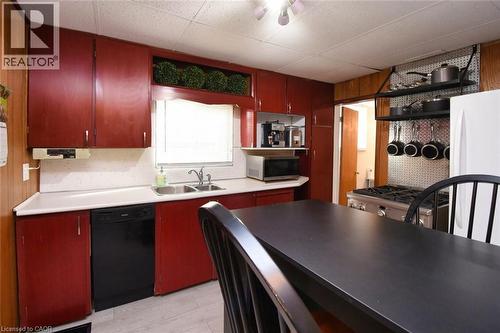 17 Craigroyston Road, Hamilton, ON - Indoor Photo Showing Kitchen With Double Sink
