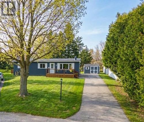 enhanced greenery - 157 Maple Crescent, Hamilton, ON - Outdoor