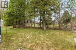 View of grassy yard - 