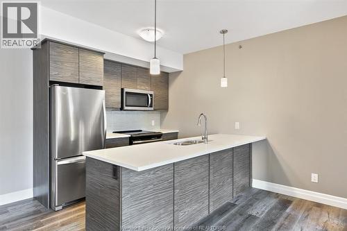716 Brownstone Unit# 208, Tecumseh, ON - Indoor Photo Showing Kitchen With Stainless Steel Kitchen With Double Sink With Upgraded Kitchen