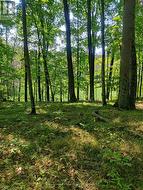 0EAST2 ROAD ALLOWANCE ROAD Havelock-Belmont-Methuen (Belmont-Methuen), ON K0L 1Z0