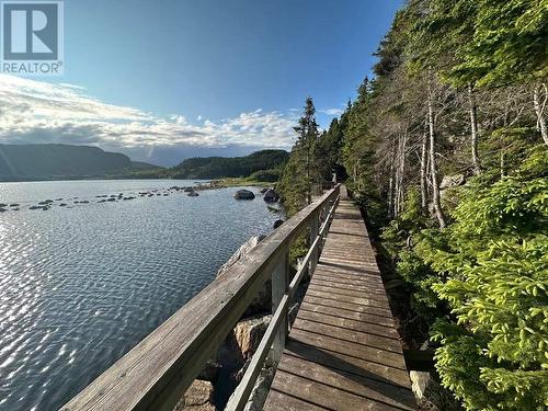 18-20 Burdens Point, Salvage, NL - Outdoor With Body Of Water With View