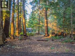 1136 HERCHMER ROAD Savary Island, BC V8A 0G7