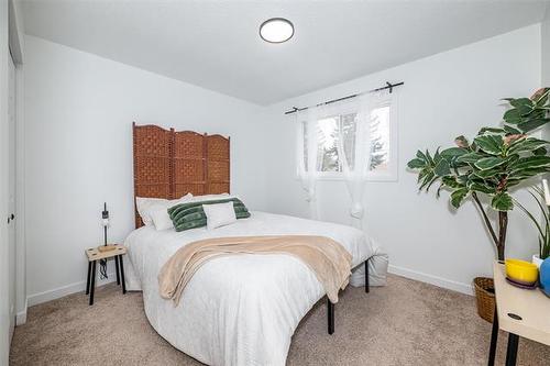 355 Mcmeans Ave, Winnipeg, MB 