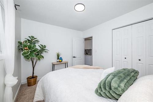 355 Mcmeans Ave, Winnipeg, MB 