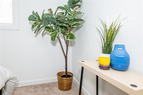 355 Mcmeans Ave, Winnipeg, MB 