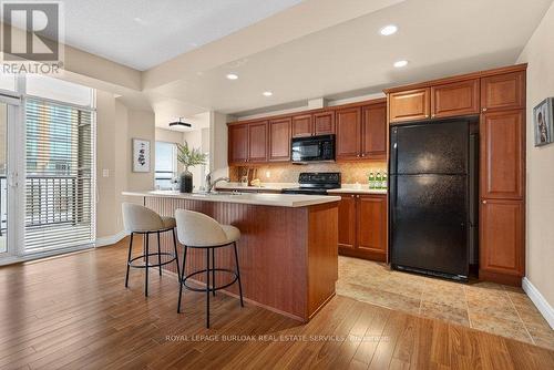 412 - 399 Elizabeth Street, Burlington, ON - Indoor Photo Showing Kitchen
