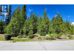 32 DOUGLAS Crescent Elkford, BC V0B 1H0