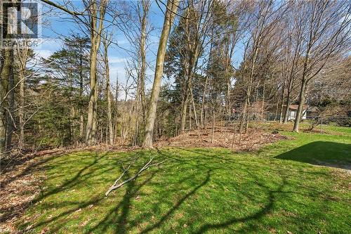 117 Willowdale Crescent, Port Dover, ON - Outdoor With View