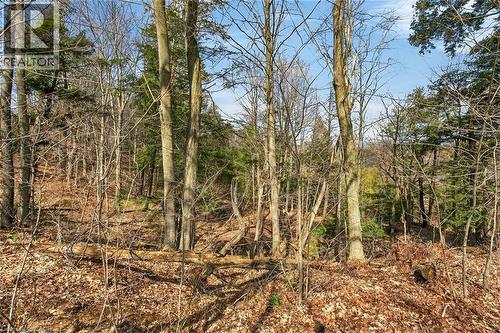 117 Willowdale Crescent, Port Dover, ON - Outdoor With View