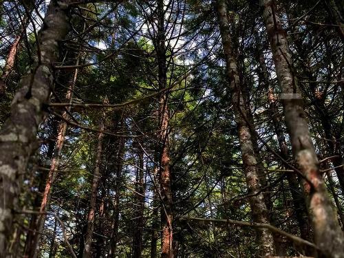 Lot 2 Robert E Road, Kemptville, NS 