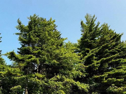 Lot 2 Robert E Road, Kemptville, NS 