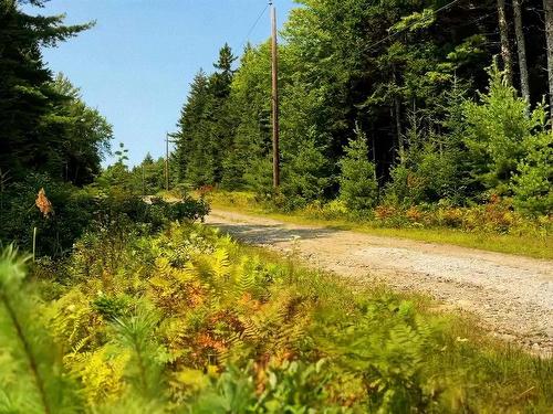 Lot 2 Robert E Road, Kemptville, NS 