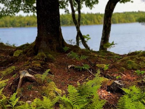 Lot 2 Robert E Road, Kemptville, NS 