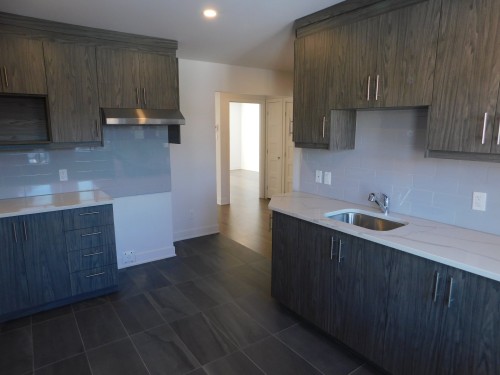 Cuisine - 4-1035 Rue De Liège O., Montréal (Villeray/Saint-Michel/Parc-Extension), QC - Indoor Photo Showing Kitchen