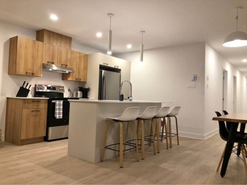Écurie - 301-142 Rue Caroline, Cowansville, QC - Indoor Photo Showing Kitchen With Upgraded Kitchen