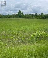 3447 DONNELLY DRIVE N Ottawa, ON K0G 1J0