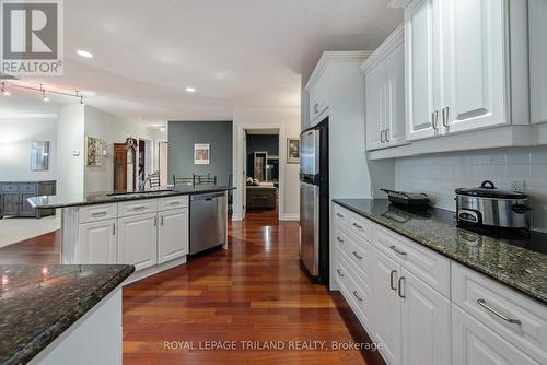 1202 - 250 Pall Mall Street, London East (East F), ON - Indoor Photo Showing Kitchen With Upgraded Kitchen