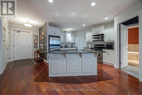1202 - 250 Pall Mall Street, London East (East F), ON - Indoor Photo Showing Kitchen