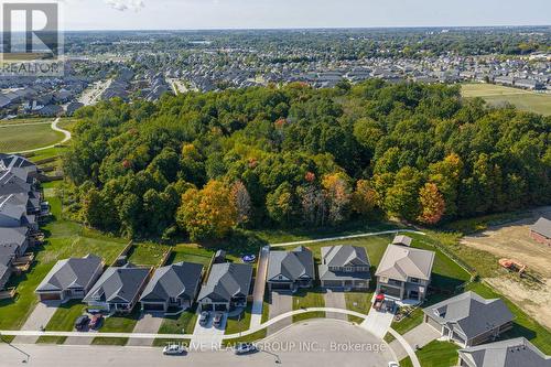 17 Dunning Way, St. Thomas, ON - Outdoor With View