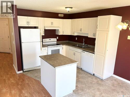 38 103 Banyan Crescent, Saskatoon, SK - Indoor Photo Showing Kitchen With Double Sink