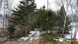 530 Seal Cove Road Cbs, NL A1X 6R4