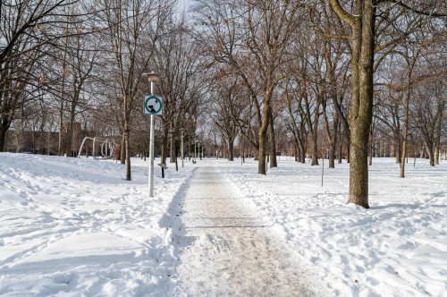Other - 551 Rue De Dublin, Montréal (Le Sud-Ouest), QC - Outdoor With View