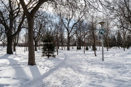 Other - 551 Rue De Dublin, Montréal (Le Sud-Ouest), QC - Outdoor With View