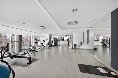 Exercise Room - 333-2000 Rue Des Bassins, Montréal (Le Sud-Ouest), QC - Indoor Photo Showing Gym Room