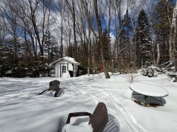 Lot - 
