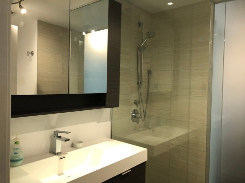 Salle de bains - 1408-185 Rue Du Séminaire, Montréal (Le Sud-Ouest), QC - Indoor Photo Showing Bathroom