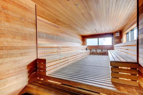 Sauna - 1408-185 Rue Du Séminaire, Montréal (Le Sud-Ouest), QC - Indoor Photo Showing Other Room