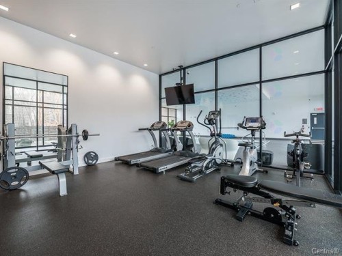 Salle d'exercice - 1408-185 Rue Du Séminaire, Montréal (Le Sud-Ouest), QC - Indoor Photo Showing Gym Room