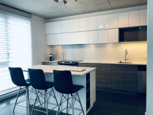 Cuisine - 1408-185 Rue Du Séminaire, Montréal (Le Sud-Ouest), QC - Indoor Photo Showing Kitchen With Upgraded Kitchen