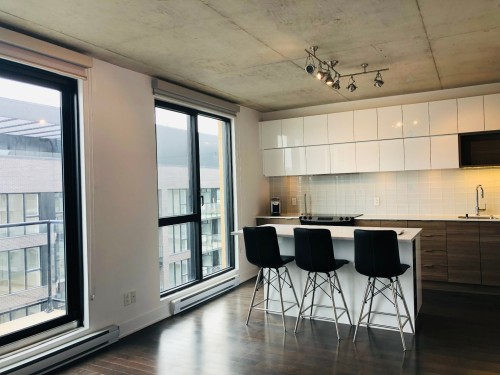 Cuisine - 1408-185 Rue Du Séminaire, Montréal (Le Sud-Ouest), QC - Indoor Photo Showing Kitchen