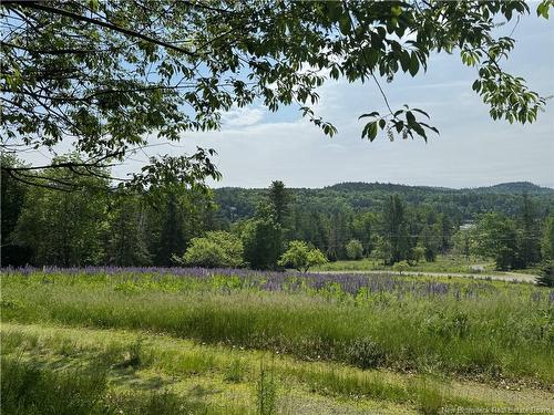 35 Hills Rd, Oak Bay, NB 