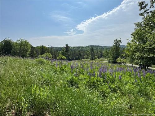 35 Hills Rd, Oak Bay, NB 