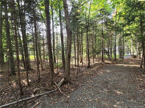 81 Katie Ave, Douglas, NB 