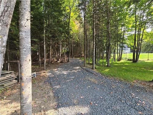 81 Katie Ave, Douglas, NB 