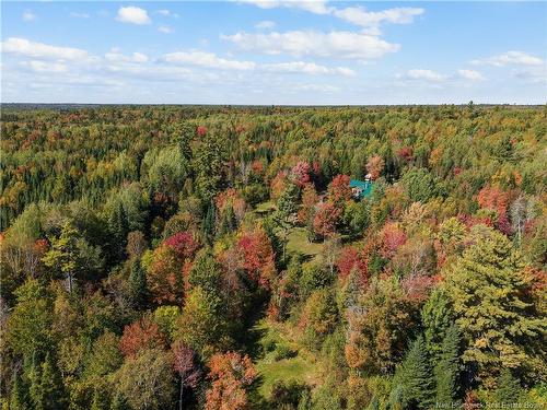 58 Buba'S Lane, Cains River, NB 