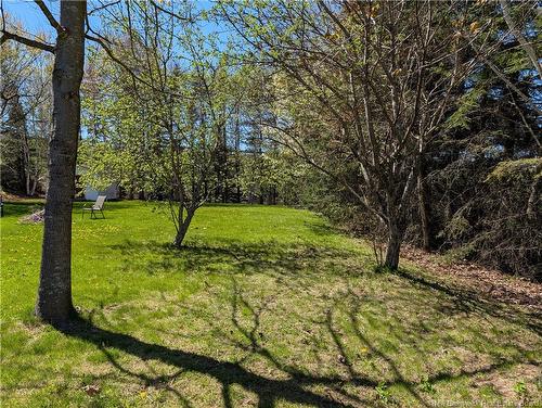 855 Walker St, Grand Falls, NB 