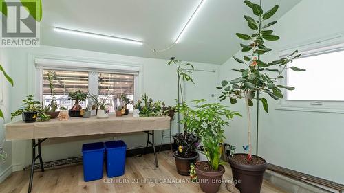 706 Nelson Street, London East (East L), ON - Indoor Photo Showing Other Room