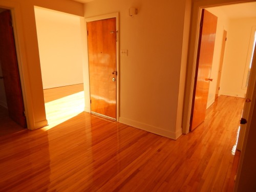 Hall d'entrée/Vestibule - 7285 Rue Birnam, Montréal (Villeray/Saint-Michel/Parc-Extension), QC - Indoor Photo Showing Other Room